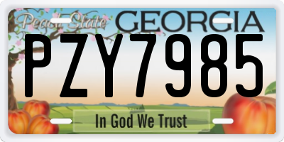 GA license plate PZY7985