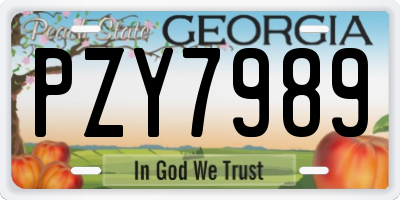GA license plate PZY7989