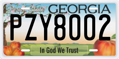 GA license plate PZY8002