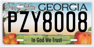 GA license plate PZY8008