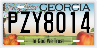 GA license plate PZY8014