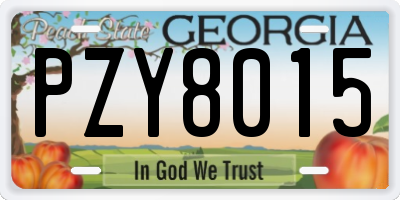 GA license plate PZY8015