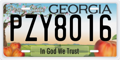 GA license plate PZY8016