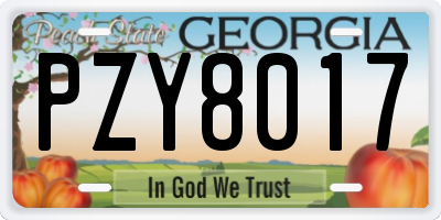 GA license plate PZY8017