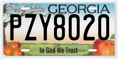 GA license plate PZY8020