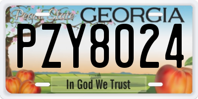 GA license plate PZY8024