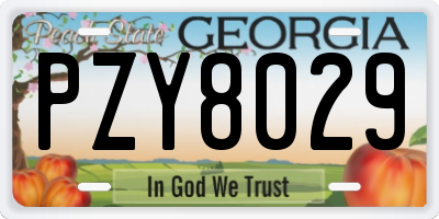 GA license plate PZY8029