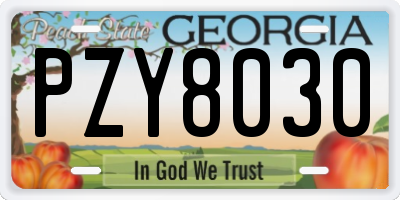 GA license plate PZY8030