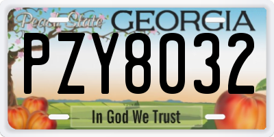 GA license plate PZY8032