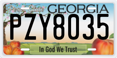 GA license plate PZY8035