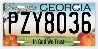 GA license plate PZY8036