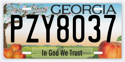 GA license plate PZY8037