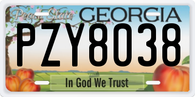 GA license plate PZY8038