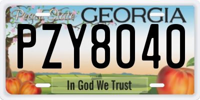 GA license plate PZY8040