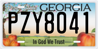 GA license plate PZY8041