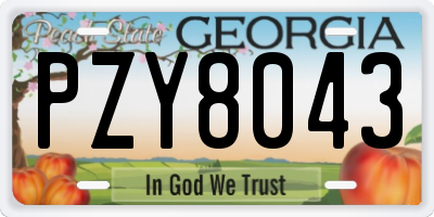 GA license plate PZY8043