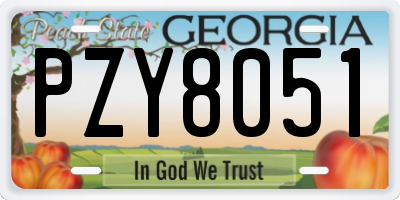 GA license plate PZY8051