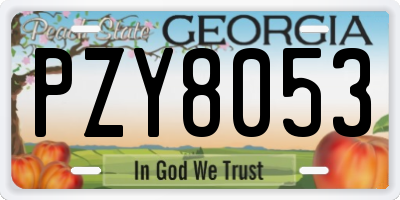GA license plate PZY8053