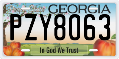 GA license plate PZY8063