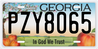 GA license plate PZY8065