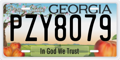 GA license plate PZY8079
