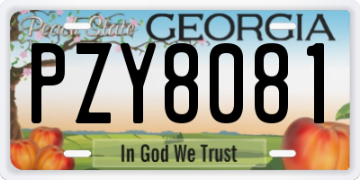 GA license plate PZY8081