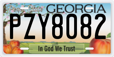 GA license plate PZY8082