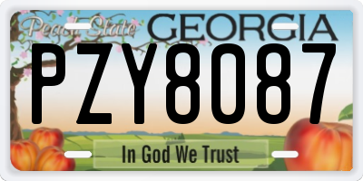 GA license plate PZY8087