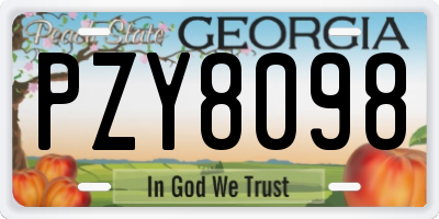 GA license plate PZY8098
