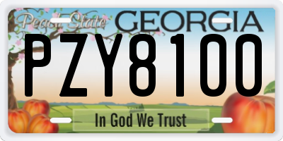 GA license plate PZY8100