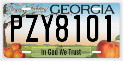 GA license plate PZY8101