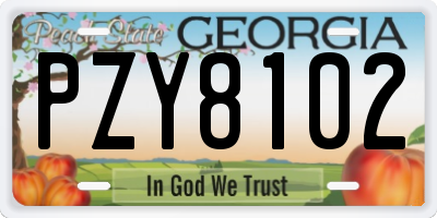 GA license plate PZY8102