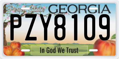 GA license plate PZY8109
