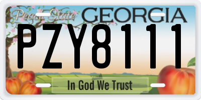 GA license plate PZY8111