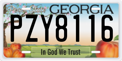 GA license plate PZY8116