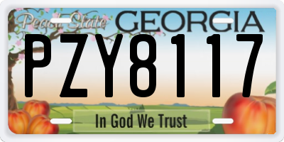 GA license plate PZY8117