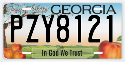 GA license plate PZY8121