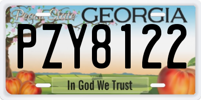 GA license plate PZY8122