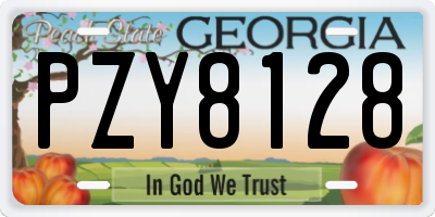 GA license plate PZY8128
