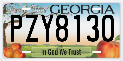 GA license plate PZY8130