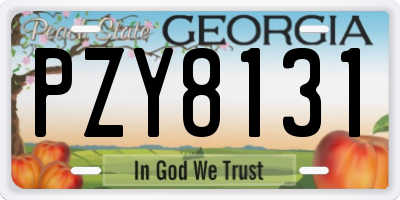 GA license plate PZY8131