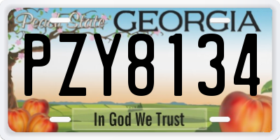 GA license plate PZY8134