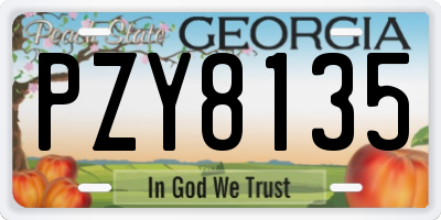 GA license plate PZY8135