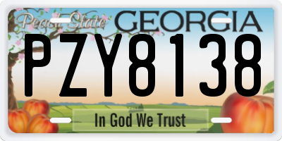 GA license plate PZY8138