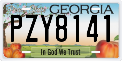 GA license plate PZY8141
