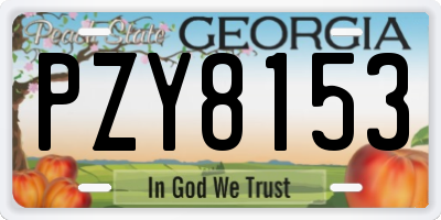 GA license plate PZY8153