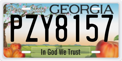 GA license plate PZY8157