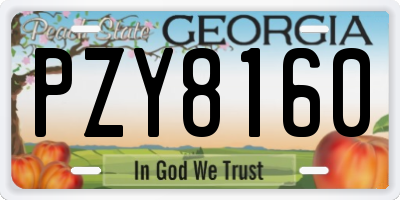 GA license plate PZY8160