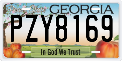 GA license plate PZY8169