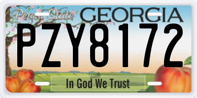 GA license plate PZY8172